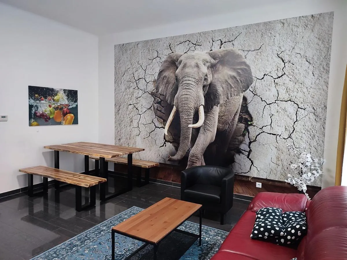 Apartments Near Schoenbrunn Palace Vienna